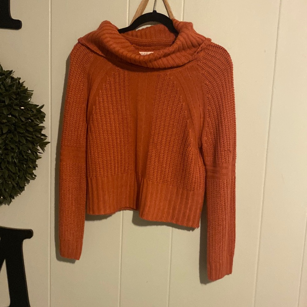 Turtle neck burnt orange sweater cropped